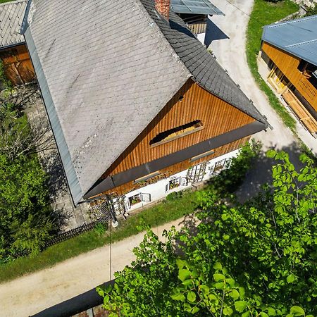 House, Garden And A Green Cat Блед Экстерьер фото
