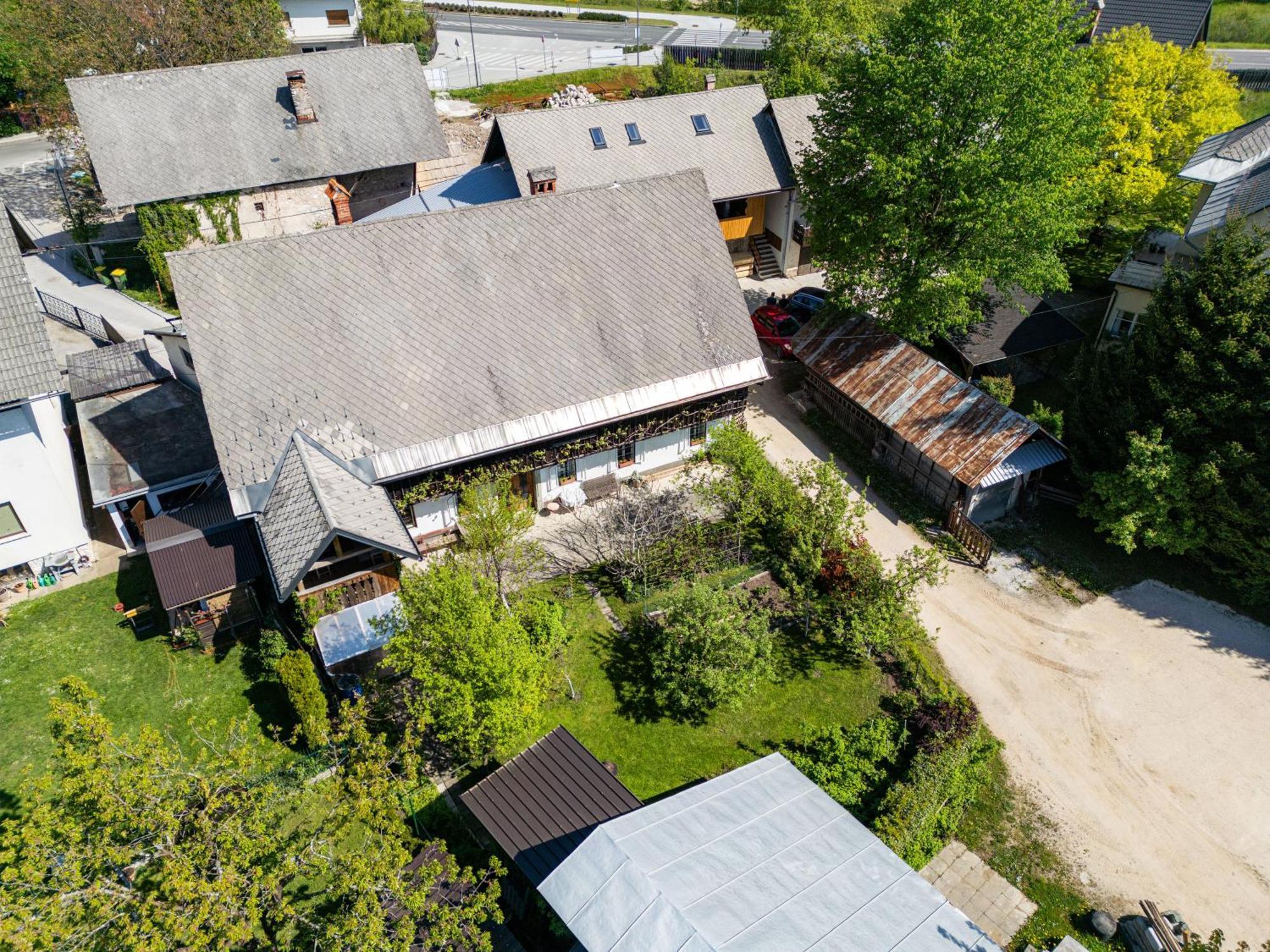 House, Garden And A Green Cat Блед Экстерьер фото