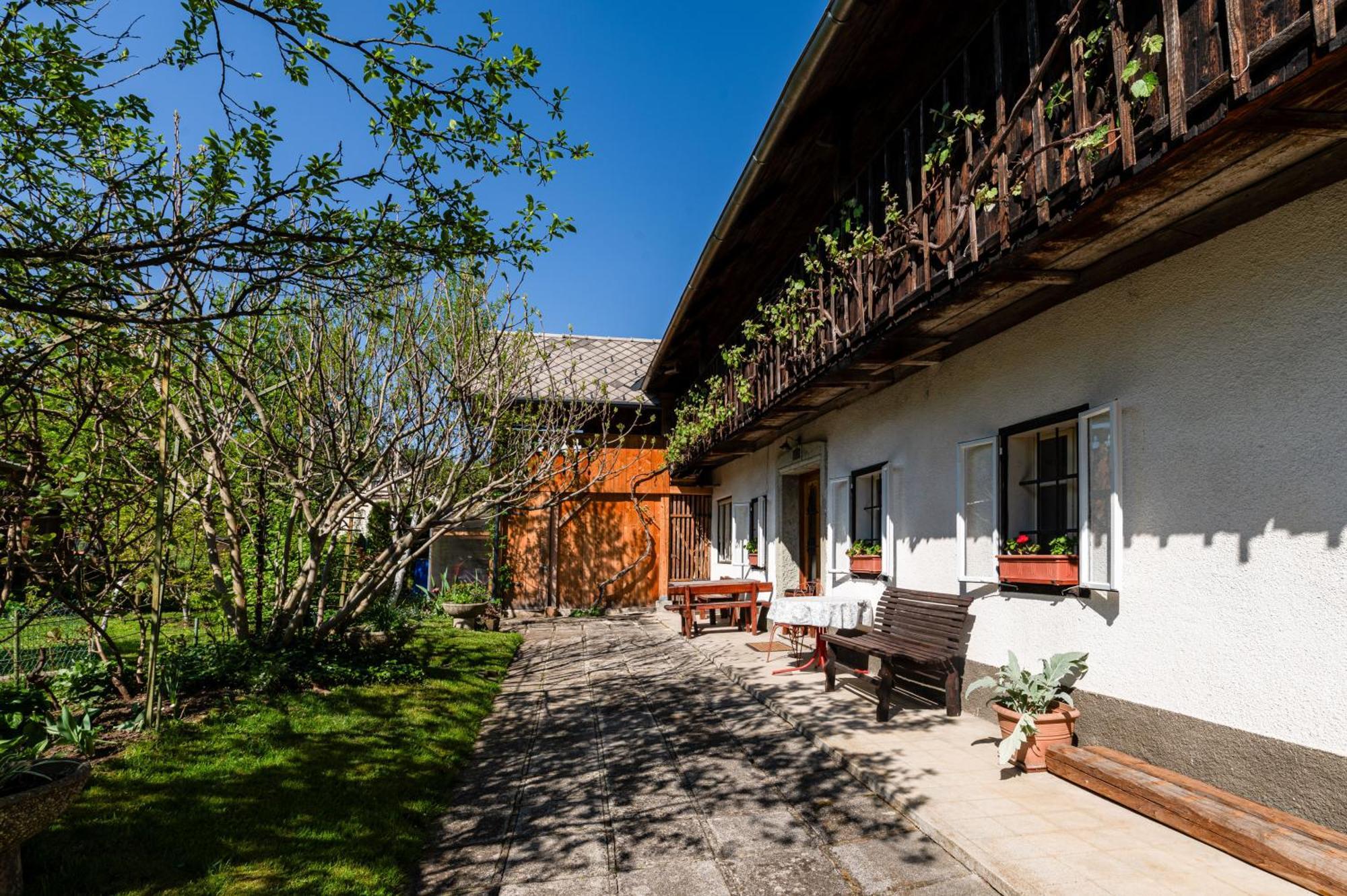 House, Garden And A Green Cat Блед Экстерьер фото