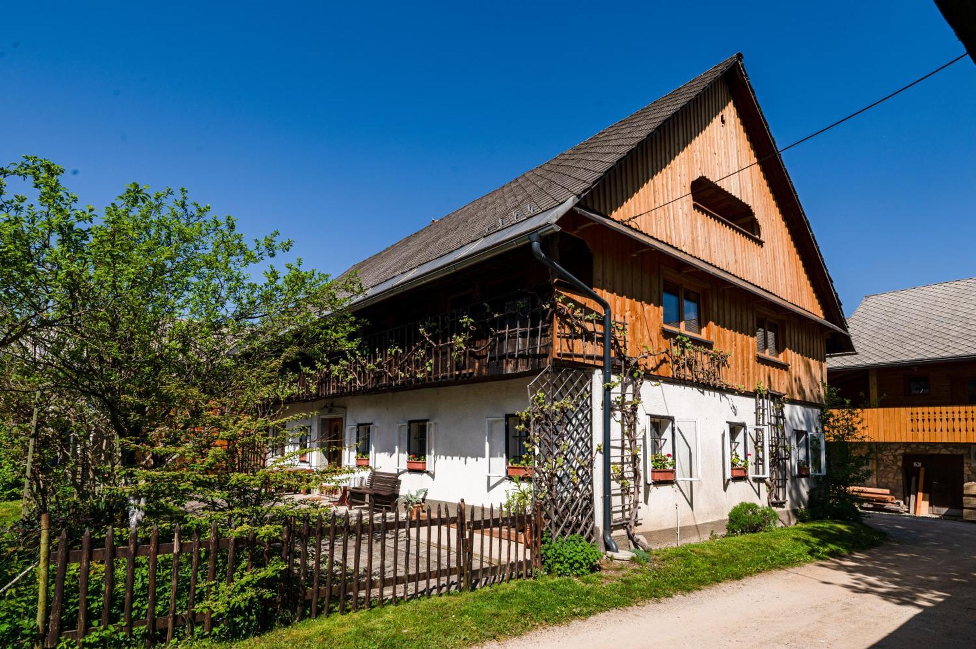 House, Garden And A Green Cat Блед Экстерьер фото