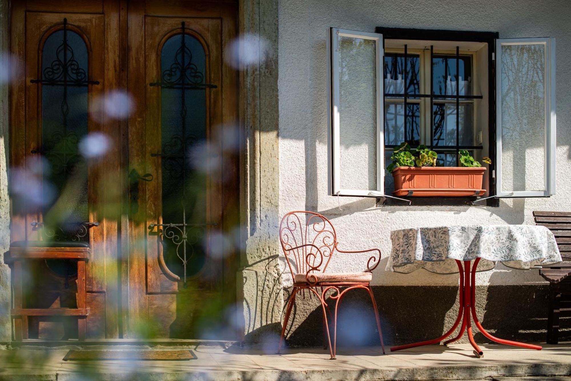 House, Garden And A Green Cat Блед Экстерьер фото
