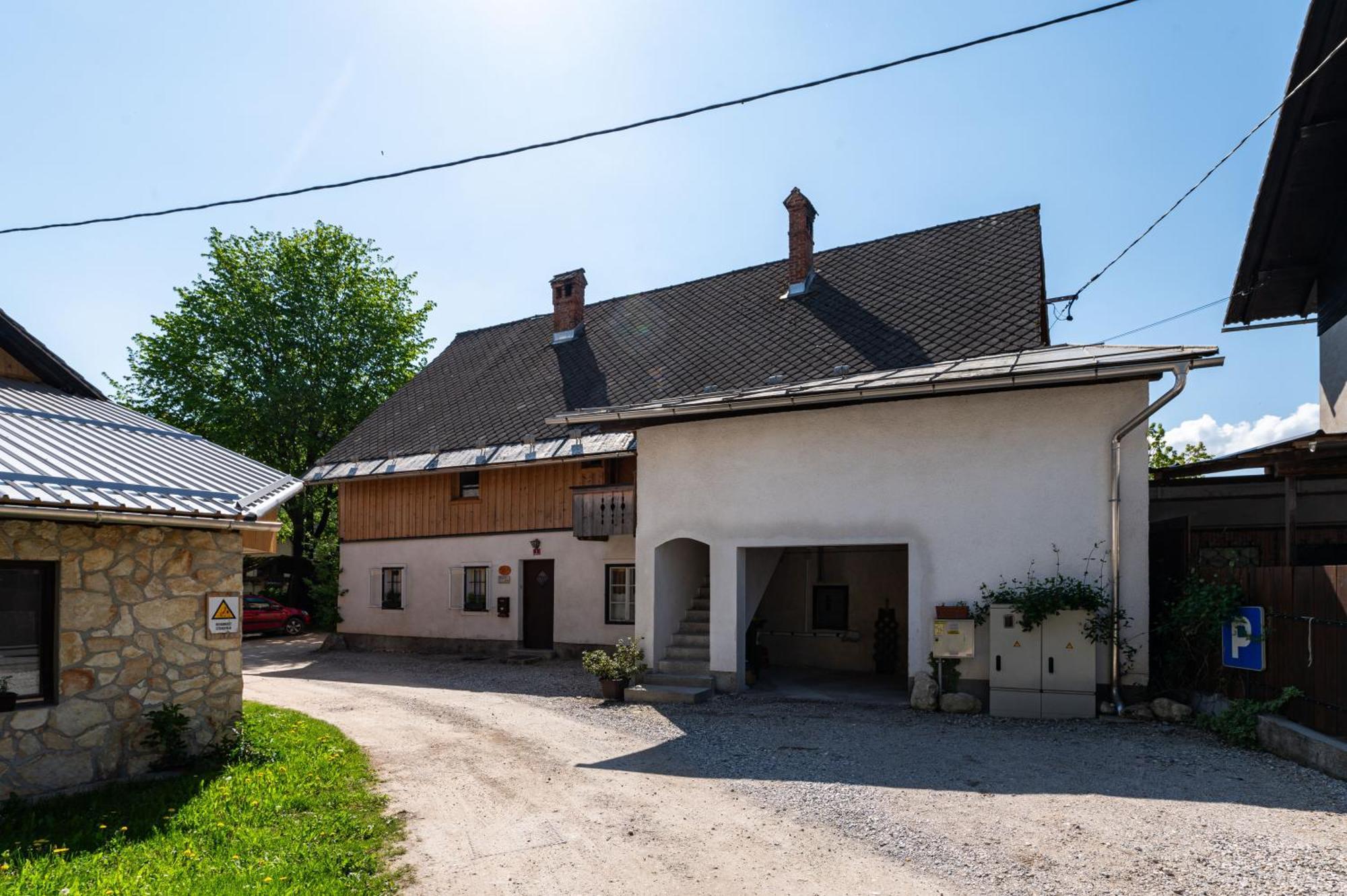 House, Garden And A Green Cat Блед Экстерьер фото