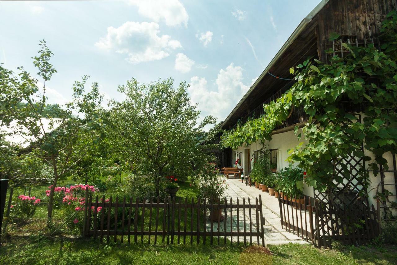 House, Garden And A Green Cat Блед Экстерьер фото